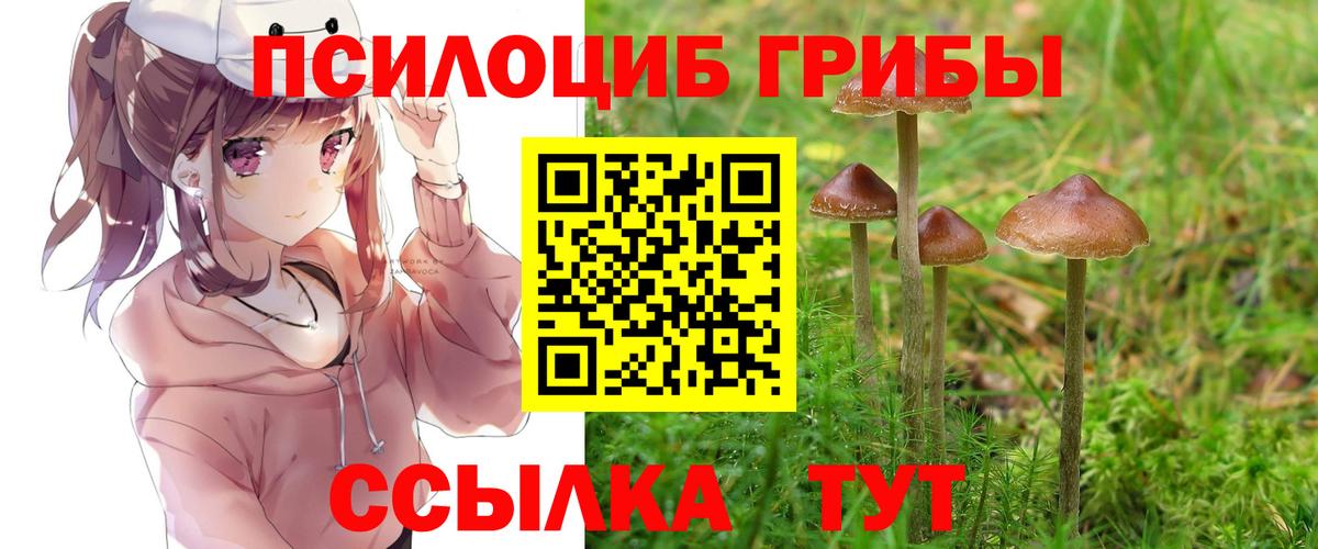 Ирбит  Псилоцибиновые грибы ЛСД  купить наркотики сайты  Вход с VPN 