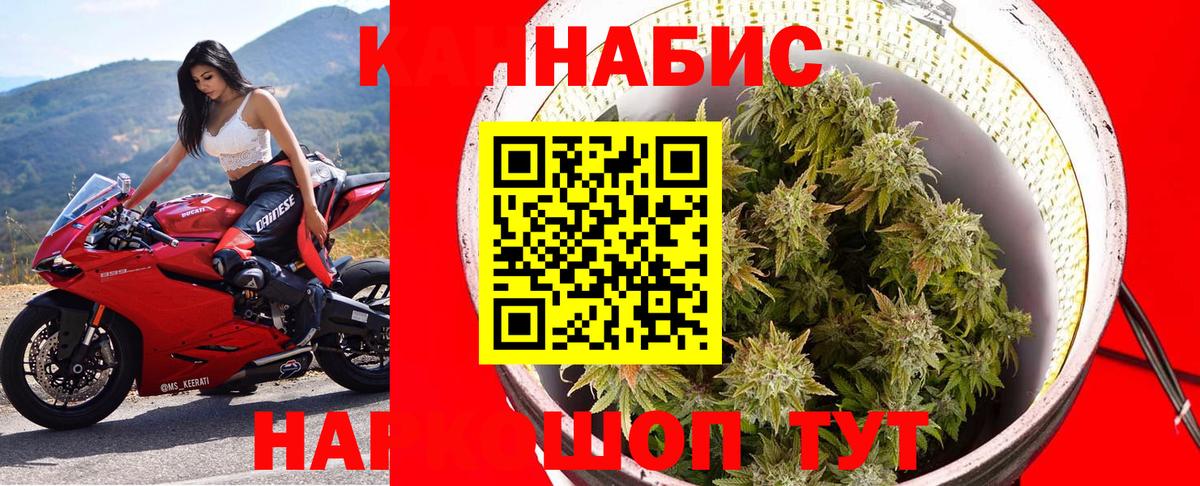 Бошки Шишки планчик  МАРИХУАНА план  Вход с VPN  Бошки Шишки индика  Ирбит 